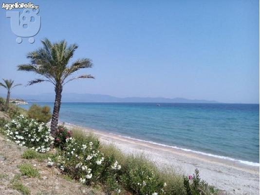 πώληση Αγροτεμαχίου